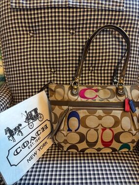 Coach poppy embroidered Signature C Canvas Shoulder bag